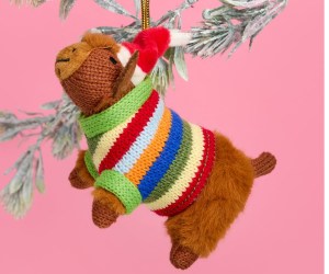 Untitled design - 2025-06-12T115711.157